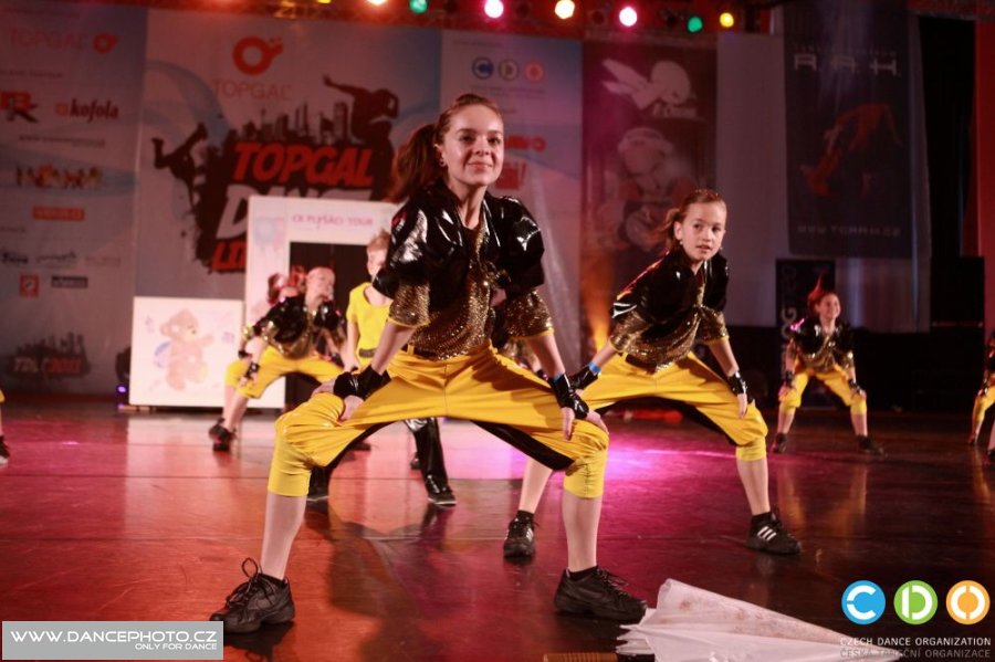 tdlt2011_06350