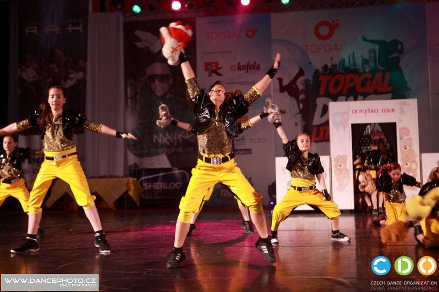 tdlt2011_06351