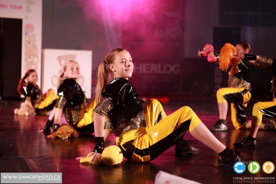 tdlt2011_06352