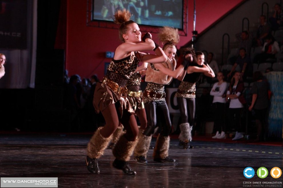 tdlt2011_07127
