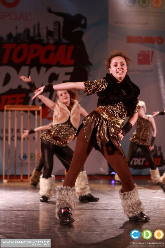 tdlt2011_07149